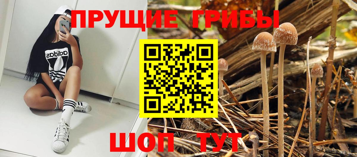 купить наркотики сайты  Псилоцибиновые грибы Cubensis  Вход с VPN  Ликино-Дулёво  Псилоцибиновые грибы мицелий 